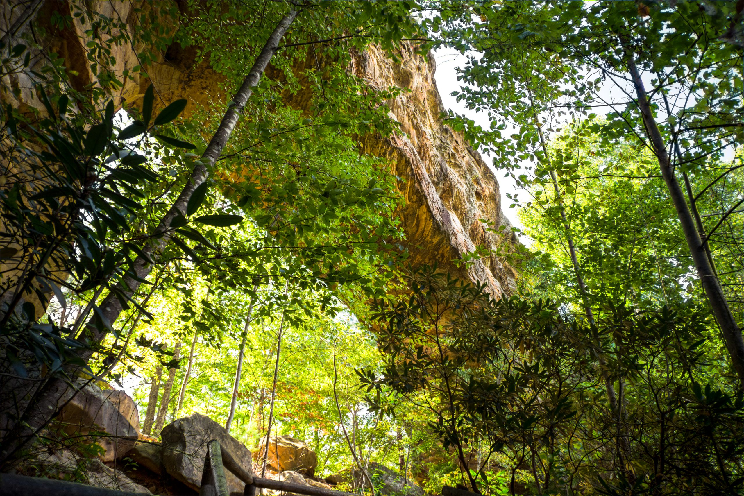 Red River Gorge Wilderness Area